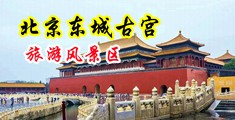 高潮屌逼视频中国北京-东城古宫旅游风景区